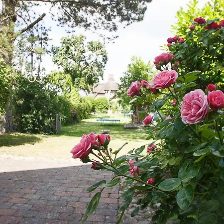 Apartment Vogelkoje In Og